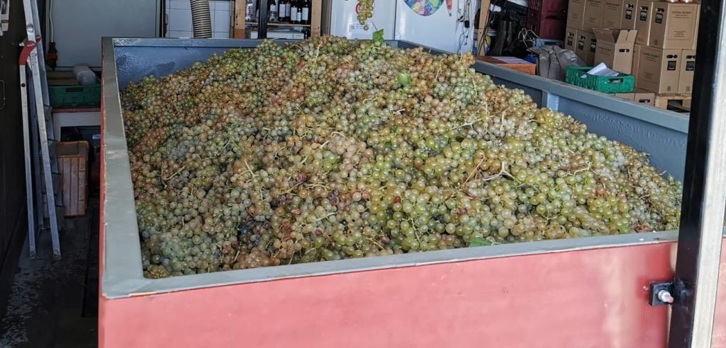 Pure Polyurea Coating Prevents Corrosion of Wine Making Equipment